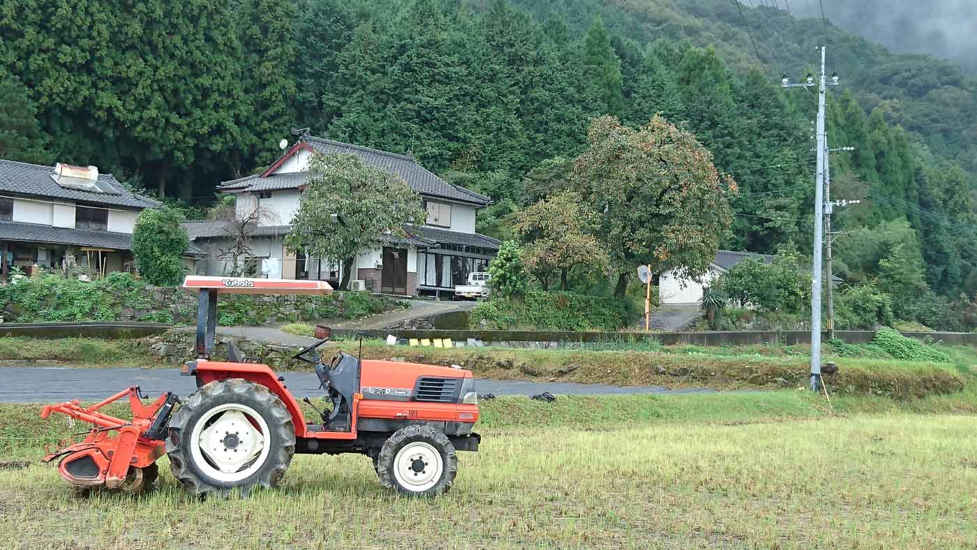 Rural landscape in Amakusa, early autumn: rice paddies, vernacular houses, and a majestic persimmon tree.